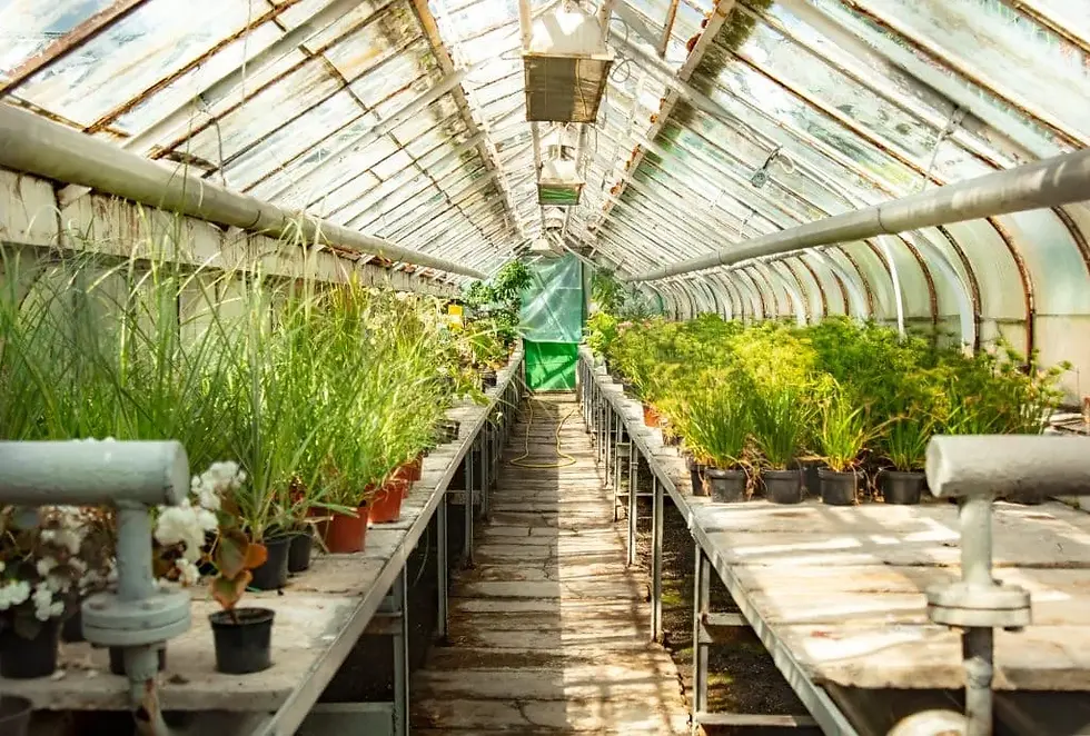 How to Choose the Right Greenhouse Business Insurance Limits