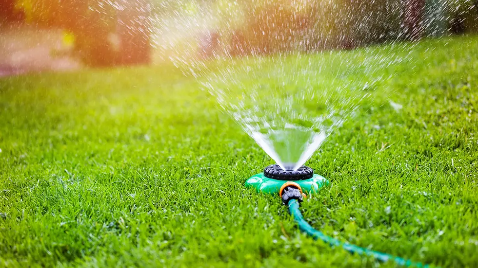 Lawn Irrigation