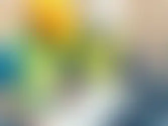 How to Get a City of Orland Park Illinois Contractor License Bond