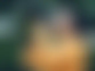 Insurance Cost for a Photography Business: What Affects Your Premium