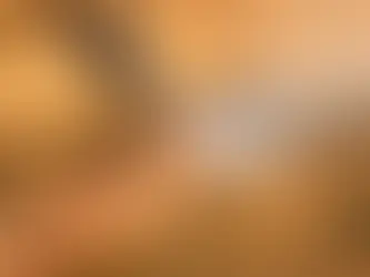 Best Pressure Washing Tools That Pay for Themselves Fast