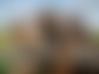 What Kind of Insurance Do You Need for an Equine Farm?