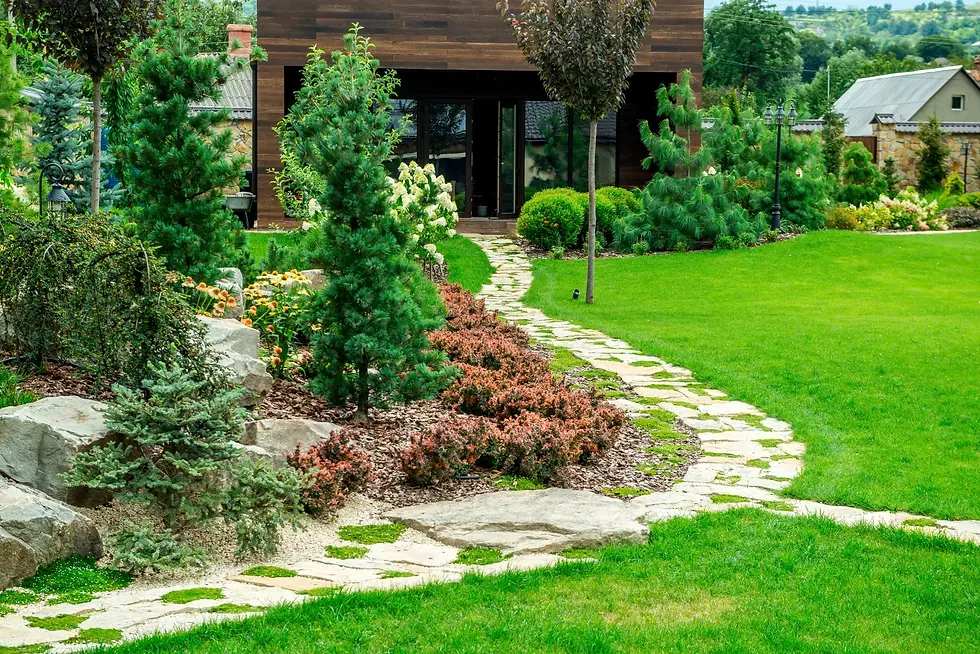 Landscaping Business