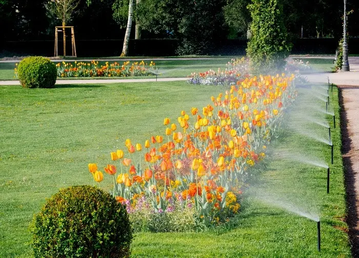 Lawn Irrigation