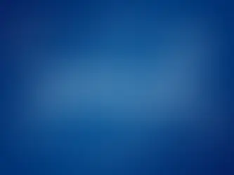 Insurance Cost for a Technology Company: What Affects Your Premium? 