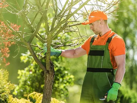 How to Start a Tree Service Business