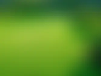 Tools to Extend the Life of Landscaping Equipment