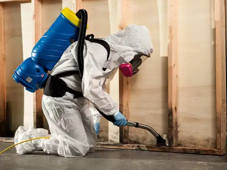 How to Start a Restoration Business: A Step-by-Step Guide