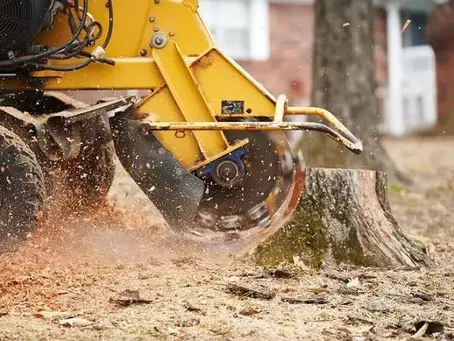 Stump Grinding Business Insurance: A Complete Guide