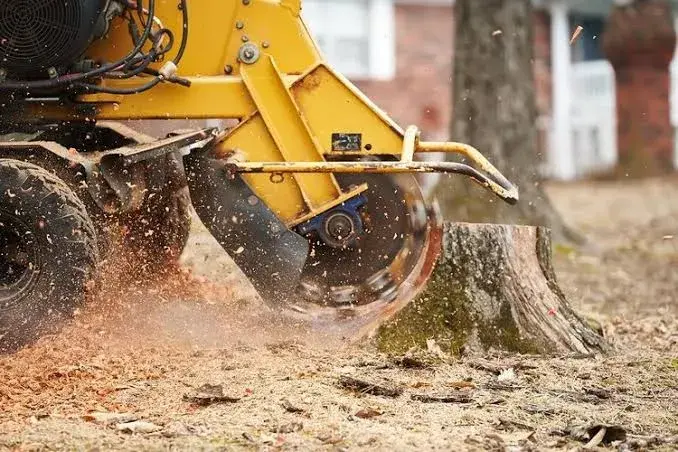 Stump Grinding Business Insurance: A Complete Guide