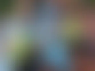 How Much Is a Roofing Business Worth?