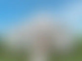 How to Choose the Best Home Insurance Company in Evansville, Indiana