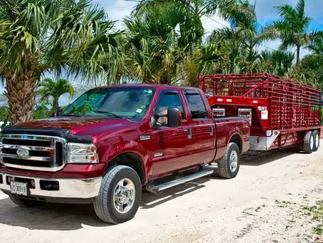 Is Owning a Hot Shot Trucking Business Profitable? A Guide for New Entrepreneurs