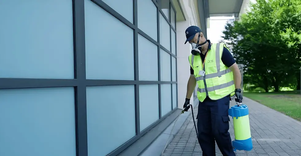 What Insurance Coverages Does a Pest Control Business Need?