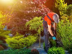 Â Proven Lead Generation Hacks for Landscaping Contractors