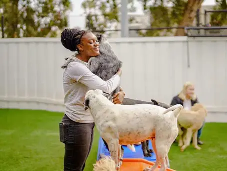 Pet Boarding Business Insurance Quote Checklist for Kennel Owners