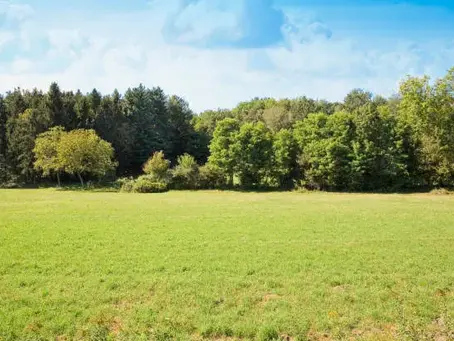 Vacant Land Insurance in Texas: What Landowners Need to Know