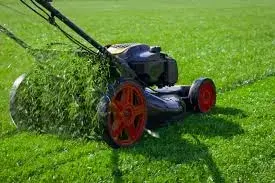 Lawn Care Business
