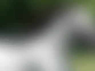 Is Owning an Equine Farm Profitable? | Wexford Insurance