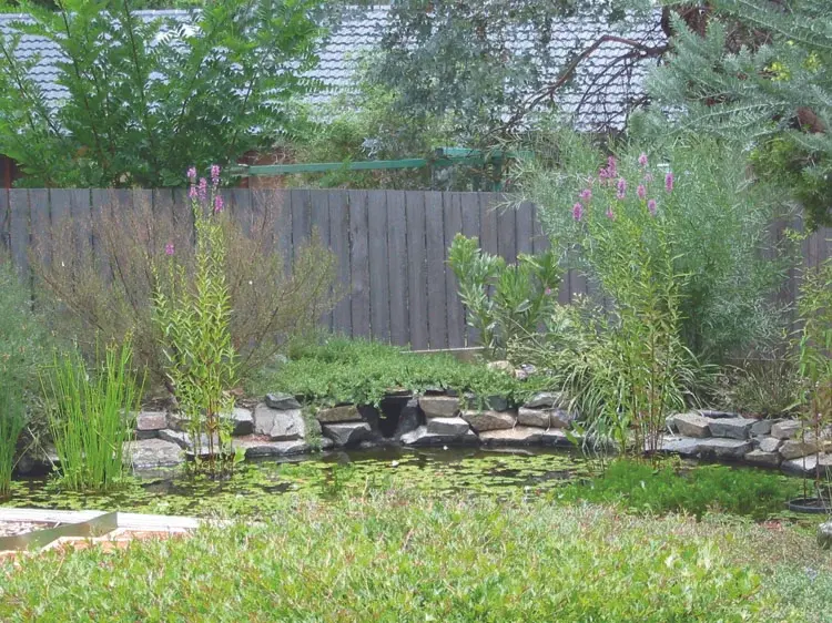 Gas vs Electric Lawn Mowers: What Landscaping Contractors Choose