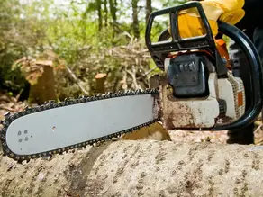 What Tree Service Equipment Should I Buy First?