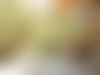 Short Term Rental Insurance in New York: What Airbnb Hosts Must Know