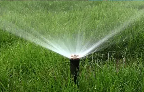 Lawn Irrigation