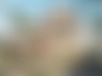 Best Home Insurance in Bloomington, Indiana