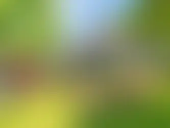 Best Tool Storage Systems for Landscaping Contractors