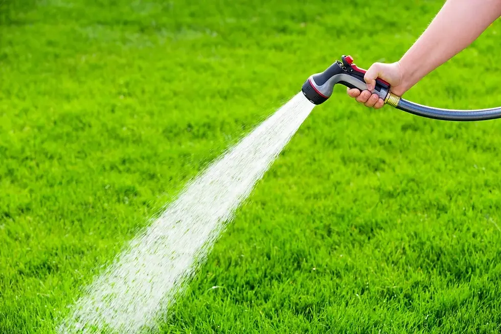 Lawn Irrigation