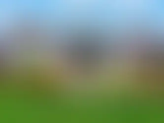 How to Choose the Best Home Insurance Company in Noblesville, Indiana