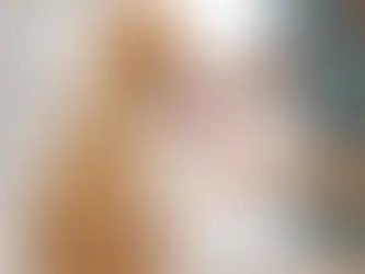 Required Mobile Dog Grooming Business Insurance Coverage Explained