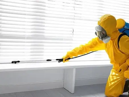 Pest Control Insurance in Florida: Licensing and Coverage Guide
