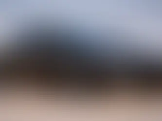 How to Get the Best Auto Insurance Quote in Columbus, Indiana