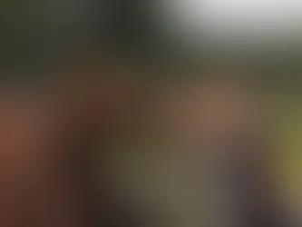 Top Ways to Increase Revenue for Your Equine Farm