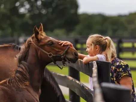 Top Ways to Increase Revenue for Your Equine Farm