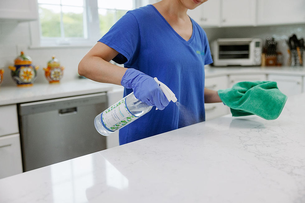 House Cleaning
