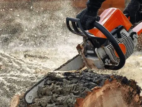 Tree Care Workers' Comp in California: Rates and Requirements