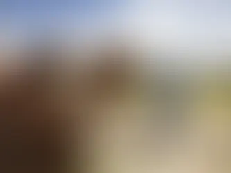 Required Equine Farm Insurance Coverage for Horse Farm Owners