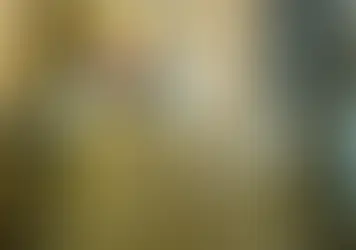 Why Texas Insulation Contractors Need a Strong Business Plan for Growth