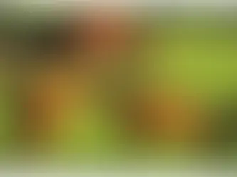 How to Market Your Equine Farm and Attract More Clients