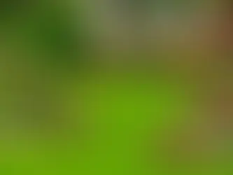 Equipment Storage Solutions for Landscaping Crews