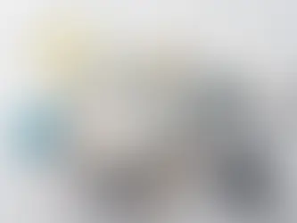 Drop Cloths vs. Plastic Sheeting: What’s Best for Painters?