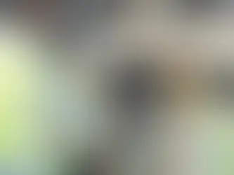 How to Get a City of Waukegan Illinois Contractor License Bond