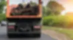 Junk Removal