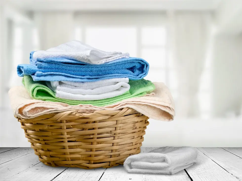 Dry Cleaning Business