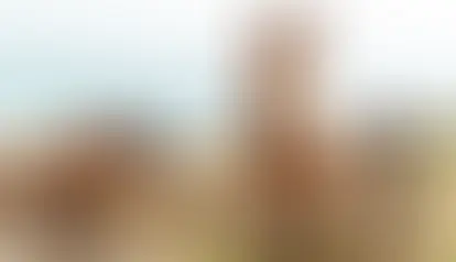 Equine Farm Business Plan Template: A Step-by-Step Guide