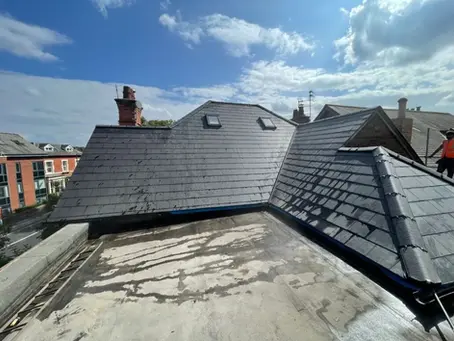 Best Shop Vacs for Roofing Cleanup & Debris Control