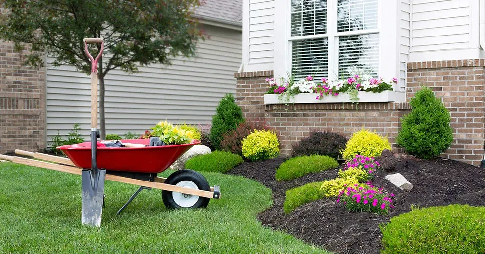Landscaping Contractor