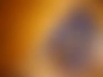 Safety Tips Every Texas Insulation Contractor Should Follow on the Job